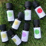 Bergamot Essential Oil - Pureté Nature